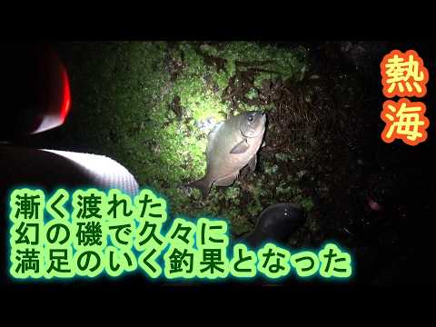 【熱海】干潮時のみ渡れる幻の磯で久々の好釣果【2025年11月下旬】