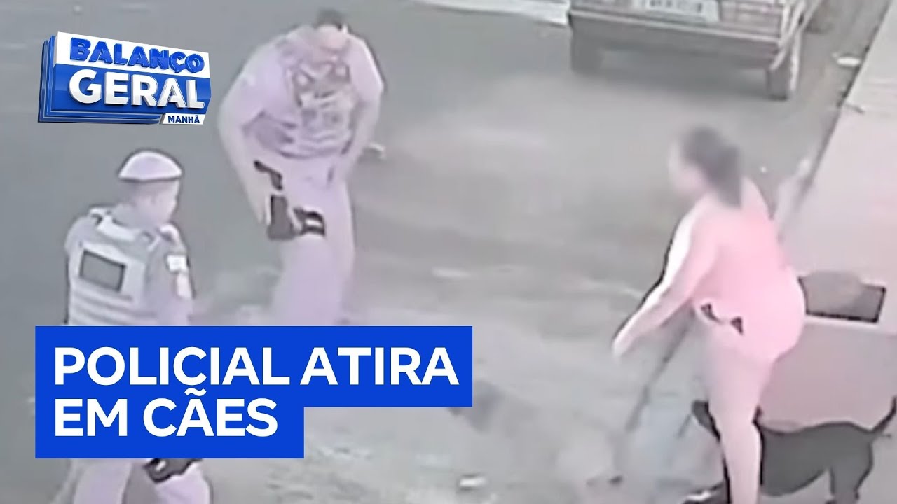 Policial mata cães de suspeito durante abordagem