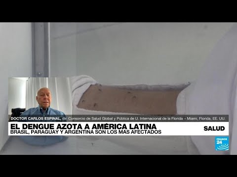 ¿A qué se debe el aumento de casos de dengue en América Latina? • FRANCE 24 Español