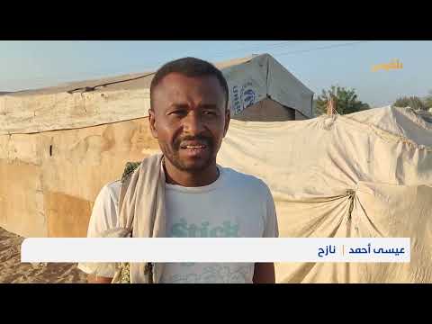 قناة بلقيس الفضائية