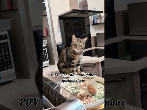 Que manigance t-il ? 👀