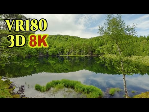 [ 8K 3D VR180 ] 水鏡のリフレクションの絶景「御射鹿池」（長野県茅野市）Misyaka-ike-pond with a mirror-like surface reflection
