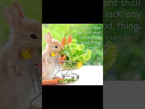 #worshipmusic #gospelmusic #christianmusic #music #bunny  #christiansongs #dailybibleverse #cute