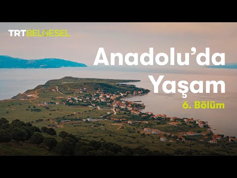 Anadolu'da Yaşam | Ada | TRT Belgesel