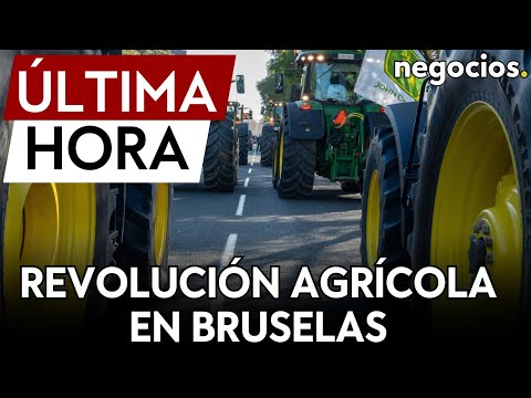 ÚLTIMA HORA | Tractores, atascos y hogueras en Bruselas: el campo presiona a los líderes europeos