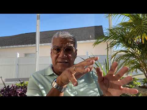 Enseñanzas de los Proverbios para vivir bien  Proverbios 12 - Nino Gonzalez