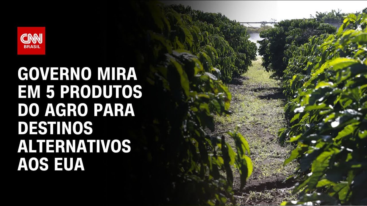 Governo Federal foca em 5 produtos do agro para destinos alternativos aos EUA | LIVE CNN