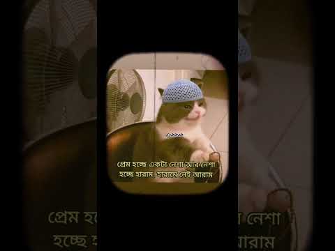 হারামনে নাই আরাম 😁✅ #shorts #foryou #viral #motivation #trending #viralvideo #reels