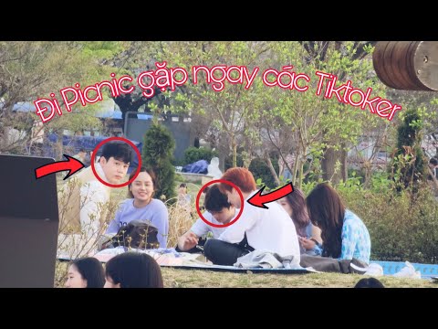 Picnic ở sông Hàn và bất ngờ gặp các Tiktoker