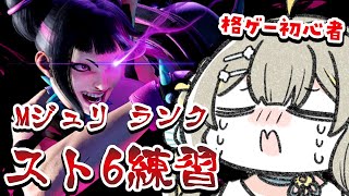 〖#スト6 〗MジュリG4🧸初格ゲー初心者‼️ガチ久しぶりすぎる〖#streetfighter6〗￤#陽茅ほかほか￤#UniVIRTUAL 