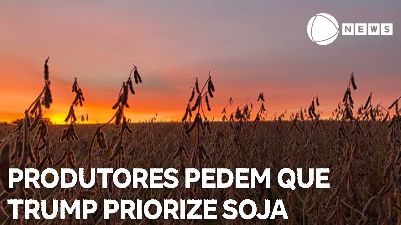 Produtores pedem que Trump priorize soja nas negociações com a China