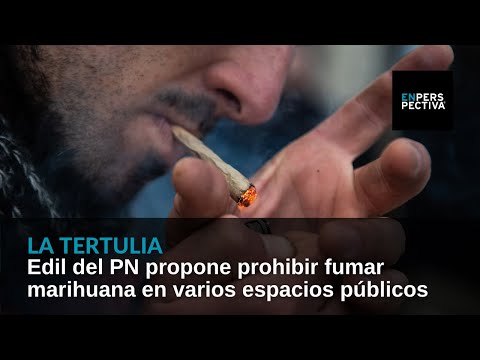 Edil del PN propone prohibir el consumo de marihuana en varios espacios públicos