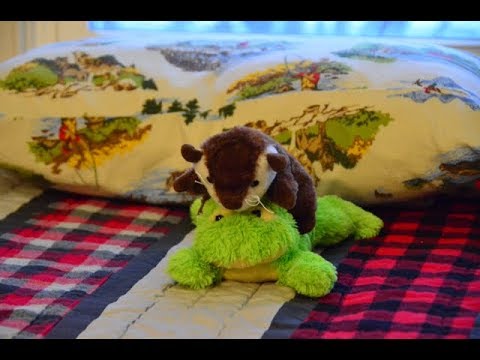 Otter and Froggie Stop Motion