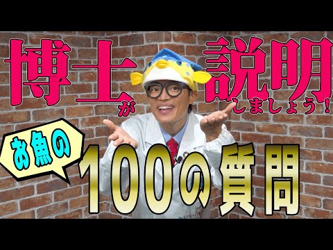 【そもそもお魚って何？】素朴なお魚の質問をお魚博士がお答えいたします！【質問募集中】