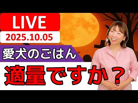 【犬 ご飯】愛犬に与えているご飯の量はあってる？ご飯の量の判断基準！犬のしつけエマチャンネル【犬のしつけ＠横浜】