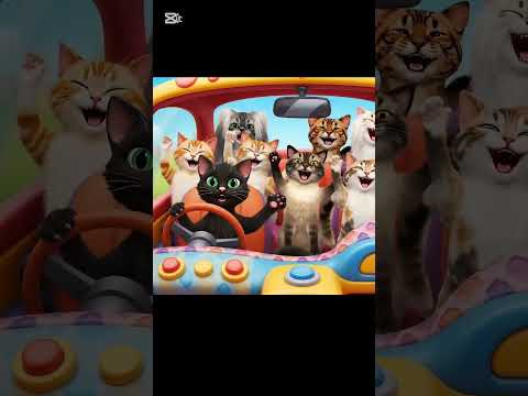 #cat #cutecat #apt #funny #shorts #fyp #viral #ai #sora2