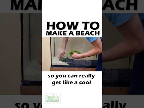 How To Make A Beach PART 2 How to make a beach with your substrate! 👇 Did this help? Have you created something like this? 