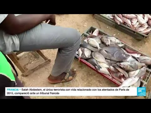 En Senegal, los pescadores artesanales sufren escasez de peces, por la sobrepesca industrial