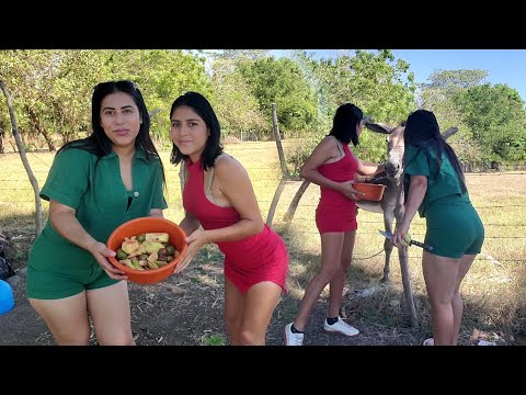 💙-como llamar a un burro🤣 MIRN¡TA es una experta || a si nos quedo nuestro snack 💦