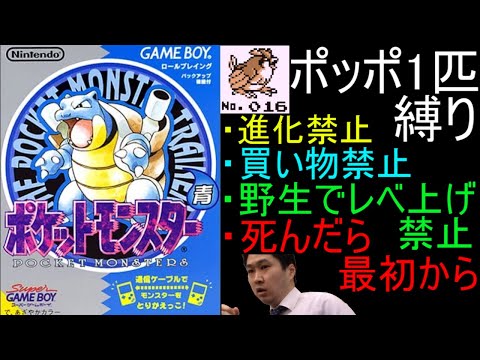 【不死鳥の騎士団】ポケモン初代 ポッポ1匹で全クリ目指す配信 4日目【人生縛り】