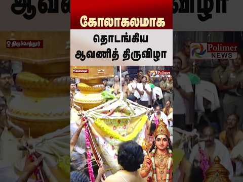 🙏🙏கோலாகலமாக தொடங்கிய ஆவணித் திருவிழா..  #shorts #tiruchendur #murugan