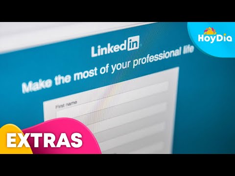 Haz un perfil profesional en LinkedIn para encontrar trabajo | Hoy Día | Telemundo