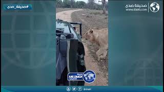 لحظات رعب عاشها مغامر