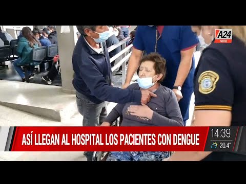 Así llegan al HOSPITAL los pacientes con DENGUE en Tucumán