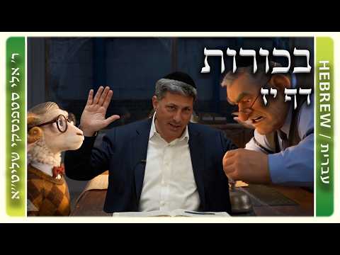 מרכז דף יומי - בכורות דף יז. - ר' אלי סטפנסקי שליט"א