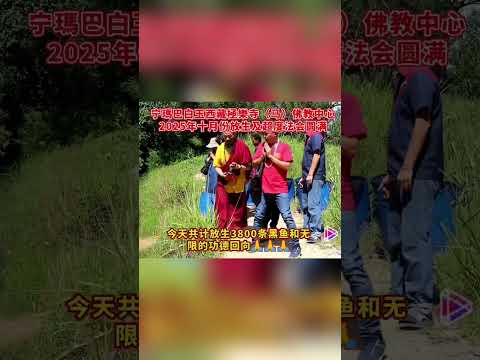 ✨【宁玛巴白玉西藏极乐寺｜10月放生 & 超度法会圆满】