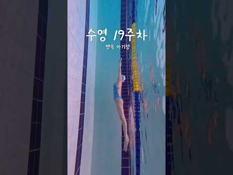 19주 임산부 평영
