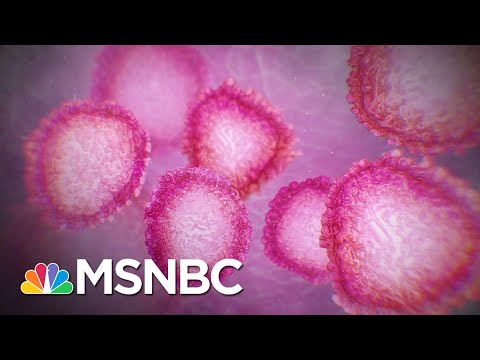 Still No Leadership From Trump Officials On Fighting Coronavirus | The 11th Hour | MSNBC