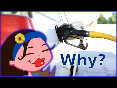 Why Do We LIKE Weird or Disgusting SMELLS?