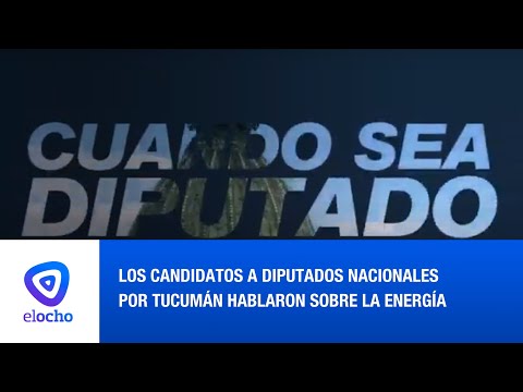 CUANDO SEA DIPUTADO, TEMA ENERGIA