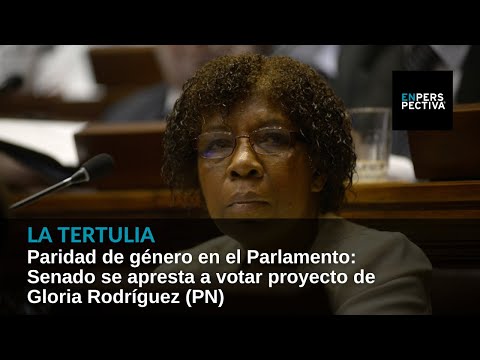 Paridad de género en el Parlamento: Senado se apresta a votar proyecto de Gloria Rodríguez (PN)