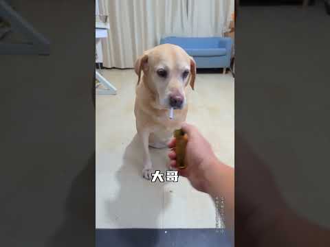 這是我大哥，在小縣城非常有實力