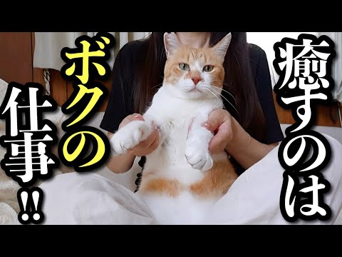 元野良猫チャチャとココネシャンプーで快適な夏休みを楽しもう サムネイル