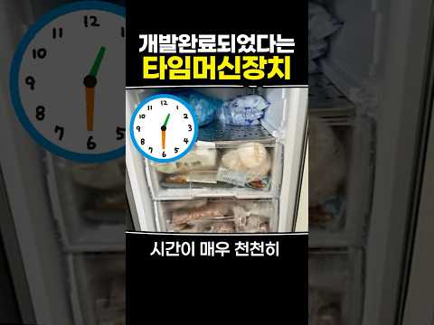 개발완료되었다는 타임머신장치