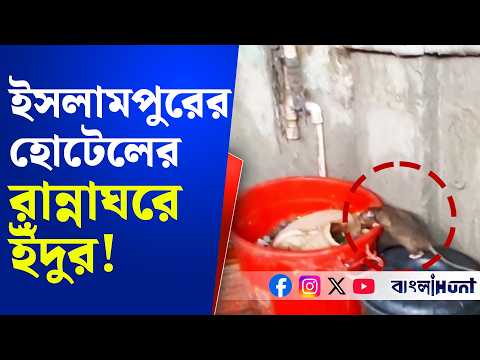Islampur-এর হোটেলের রান্নাঘরে ইঁদুর! Food Safety দফতরের অভিযানে চাঞ্চল্যকর ছবি | Islampur News