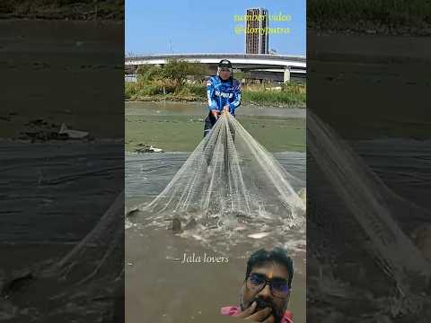 fishing 🎣 #fishing #shortsfeed #viral #cartoon #funny #comedy