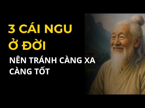3 Cái Ngu Ở Đời Nên Tránh Càng Xa Càng Tốt | Lối về An Nhiên