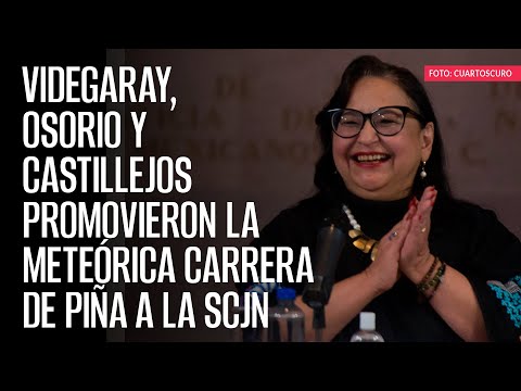 Videgaray, Osorio y Castillejos promovieron la meteórica carrera de Piña a la SCJN