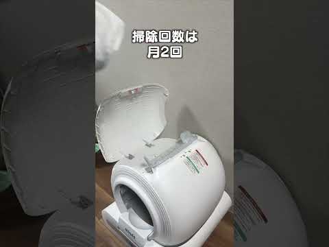 猫の動画サムネイル - 【使ってくれるかわからない！？】初めての全自動トイレを使うならコレ！mirutoスマート全自動トイレ