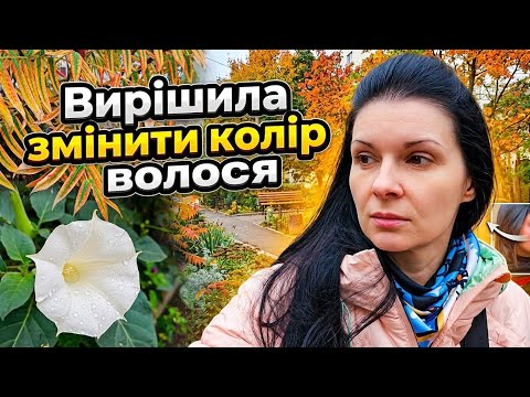 Що з цього вийде? Хочу змін ВЛОГ