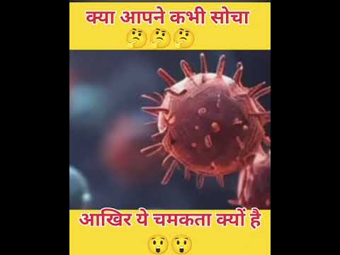 क्या आपने कभी सोचा आखिर ये कीड़े चमकते क्यों है। #manojdey #facts #amazingfact #funfact