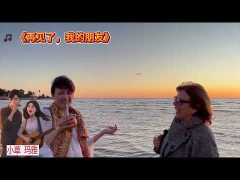🎵 《再见了，我的朋友》