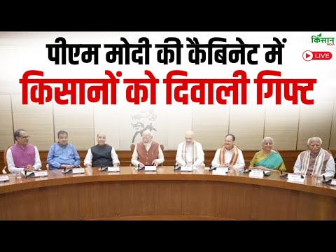 PM Modi Cabinet Meeting: पीएम मोदी की कैबिनेट में किसानों को Diwali Gift