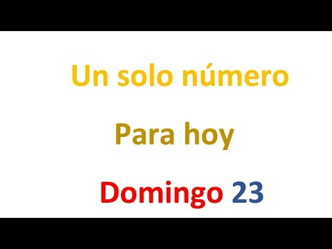 Un solo número para hoy Domingo 23 de FEBRERO, EL CAMPEÓN DE LOS NÚMEROS