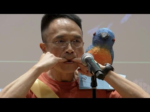 Bird call contest seeks to boost conservation awareness in Hong Kong | AFP