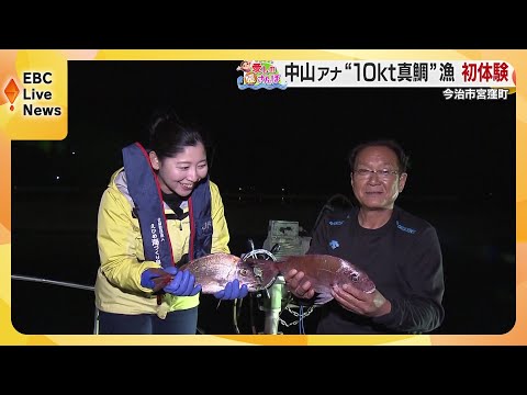 【媛さんぽ】激流育ちの究極真鯛求めて今治市宮窪町を訪ねました